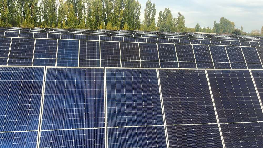 Paneles fotovoltaicos instalados en planta